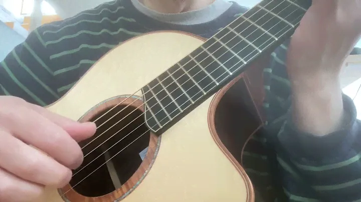 Lowden S50 with Jim Dunlop Victor  capo